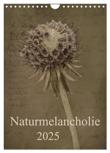 Naturmelancholie 2025 (Wandkalender 2025 DIN A4 hoch), CALVENDO Monatskalender: Blüten,Knospen und Gräser, stilvoll und unvergleichlich werden sie ... eigenes kleines Kunstwerk. (CALVENDO Natur) von CALVENDO
