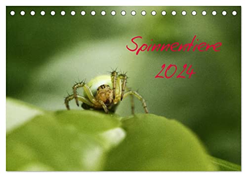Spinnentiere 2024 (Tischkalender 2024 DIN A5 quer), CALVENDO Monatskalender von CALVENDO