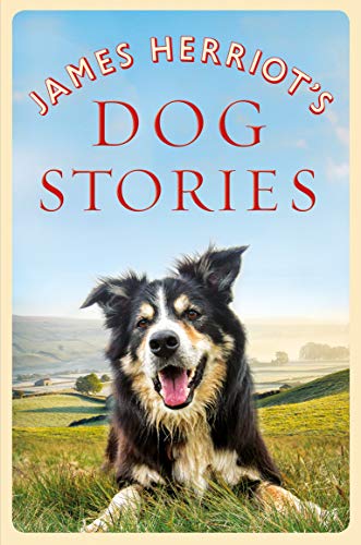James Herriot's Dog Stories von Pan