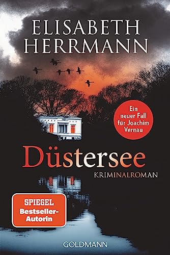 Düstersee: Kriminalroman (Joachim Vernau, Band 7)