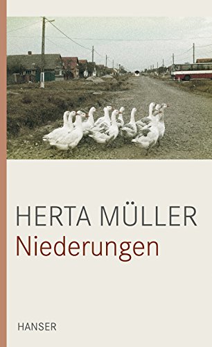 Niederungen von HANSER FACHBUCHVERLAG