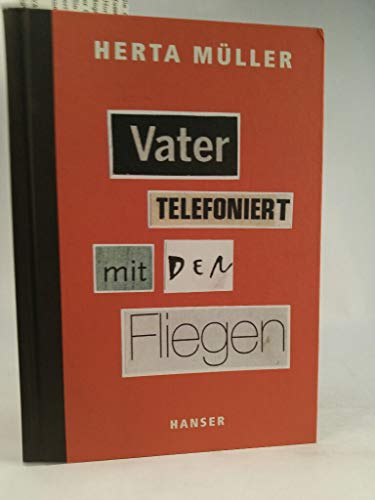Vater telefoniert mit den Fliegen von HANSER FACHBUCHVERLAG
