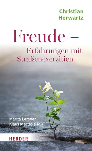 Freude - Erfahrungen mit Straßenexerzitien von VERLAG HERDER GMBH