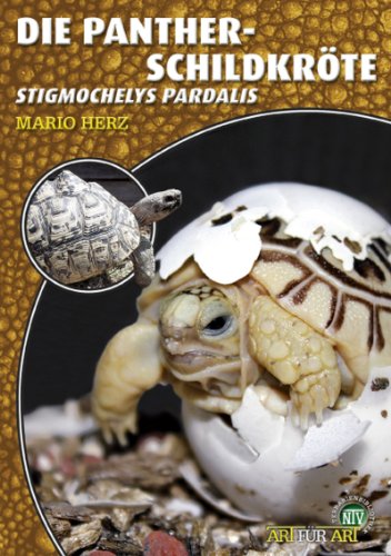 Die Pantherschildkröte: Stigmochelys pardalis