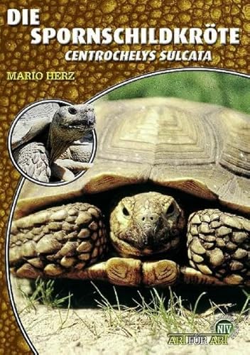 Die Spornschildkröte: Centrochelys sulcata: Geochelone Sulcata (Buchreihe Art für Art Terraristik)