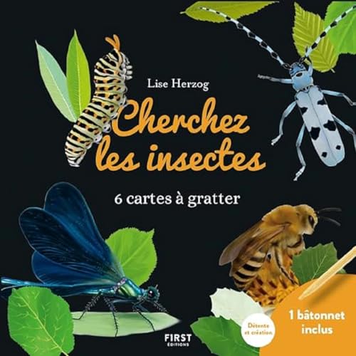 Cartes à gratter - Cherchez les insectes: 6 cartes à gratter et 1 bâtonnet inclus Cartes à gratter - Cherchez les insectes: 6 cartes à gratter et 1 bâtonnet inclus