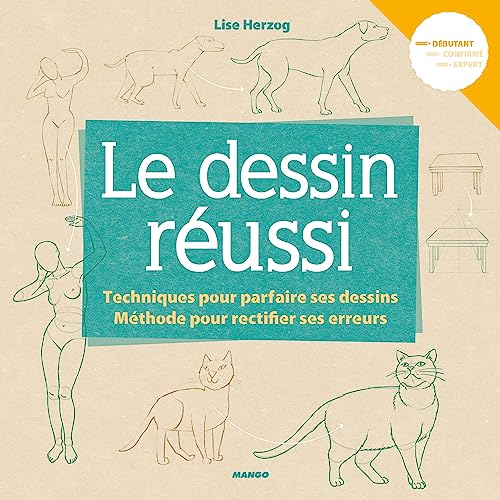 Le dessin réussi: Méthode pour rectifier ses erreurs et techniques pour parfaire ses dessins