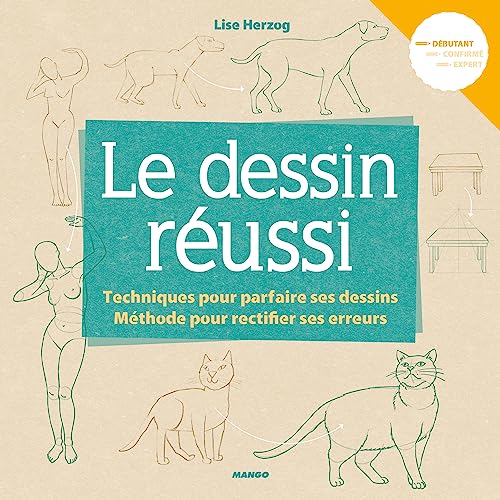 Le dessin réussi: Méthode pour rectifier ses erreurs et techniques pour parfaire ses dessins