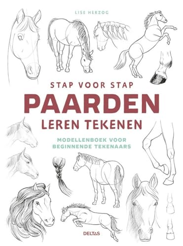 Stap voor stap paarden leren tekenen: Modellenboek voor beginnende tekenaars von Zuidnederlandse Uitgeverij (ZNU)