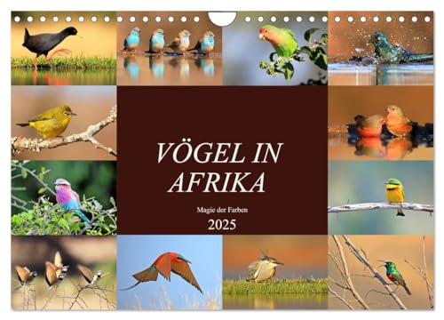 Vögel in Afrika - Magie der Farben (Wandkalender 2025 DIN A4 quer), CALVENDO Monatskalender von CALVENDO