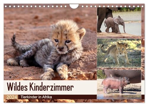Wildes Kinderzimmer - Tierkinder in Afrika (Wandkalender 2024 DIN A4 quer), CALVENDO Monatskalender: Tierkinder in ihrer natürlichen Umgebung von CALVENDO
