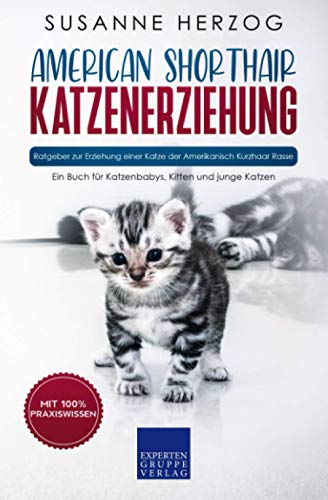 American Shorthair Katzenerziehung - Ratgeber zur Erziehung einer Katze der Amerikanisch Kurzhaar Rasse: Ein Buch für Katzenbabys, Kitten und junge Katzen