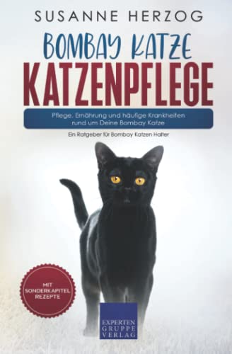 Bombay Katze Katzenpflege – Pflege, Ernährung und häufige Krankheiten rund um Deine Bombay Katze: Ein Ratgeber für Bombay Katzen Halter von Expertengruppe Verlag