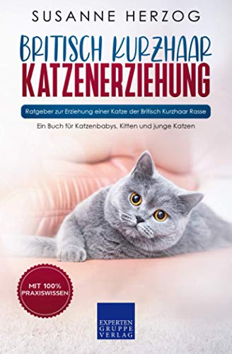 Britisch Kurzhaar Katzenerziehung - Ratgeber zur Erziehung einer Katze der Britisch Kurzhaar Rasse: Ein Buch für Katzenbabys, Kitten und junge Katzen von Expertengruppe Verlag