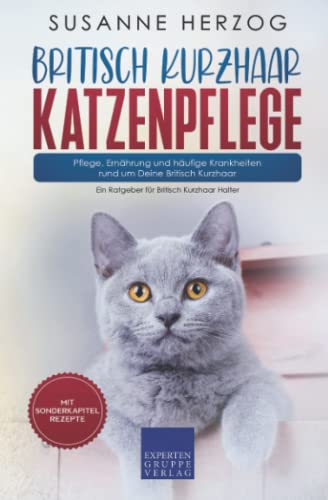 Britisch Kurzhaar Katzenpflege – Pflege, Ernährung und häufige Krankheiten rund um Deine Britisch Kurzhaar: Ein Ratgeber für Britisch Kurzhaar Halter