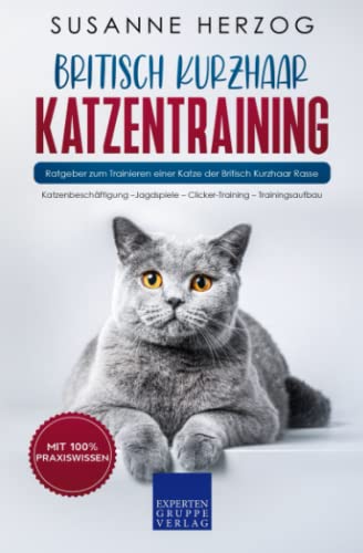 Britisch Kurzhaar Katzentraining: Ratgeber zum Trainieren einer Katze der Britisch Kurzhaar Rasse Britisch Kurzhaar Katzentraining: Ratgeber zum Trainieren einer Katze der Britisch Kurzhaar Rasse