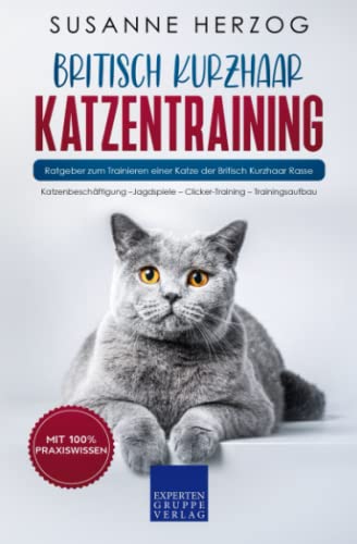 Britisch Kurzhaar Katzentraining: Ratgeber zum Trainieren einer Katze der Britisch Kurzhaar Rasse