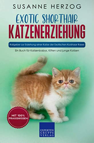 Exotic Shorthair Katzenerziehung - Ratgeber zur Erziehung einer Katze der Exotischen Kurzhaar Rasse: Ein Buch für Katzenbabys, Kitten und junge Katzen von Expertengruppe Verlag