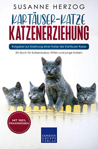 Kartäuser-Katze Katzenerziehung - Ratgeber zur Erziehung einer Katze der Kartäuser Rasse: Ein Buch für Katzenbabys, Kitten und junge Katzen