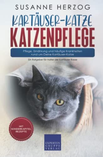 Kartäuser-Katze Katzenpflege – Pflege, Ernährung und häufige Krankheiten rund um Deine Kartäuser-Katze: Ein Ratgeber für Halter der Kartäuser Rasse Kartäuser-Katze Katzenpflege – Pflege, Ernährung und häufige Krankheiten rund um Deine Kartäuser-Katze: Ein Ratgeber für Halter der Kartäuser Rasse