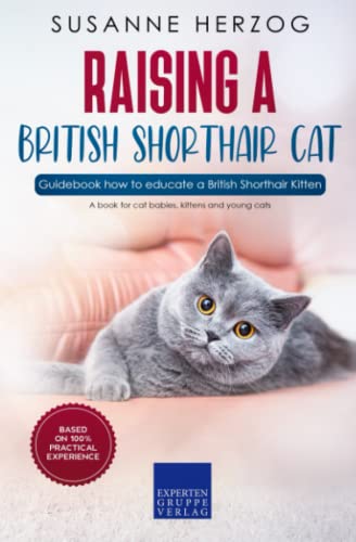 Raising a British Shorthair Cat – Guidebook how to educate a British Shorthair Kitten: A book for cat babies, kittens and young cats