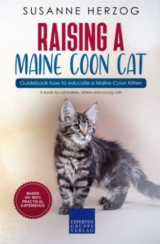 Raising a Maine Coon Cat – Guidebook how to educate a Maine Coon Kitten: A book for cat babies, kittens and young cats