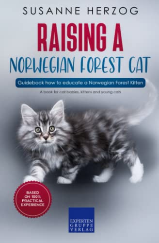 Raising a Norwegian Forest Cat – Guidebook how to educate a Norwegian Forest Kitten: A book for cat babies, kittens and young cats von Expertengruppe Verlag