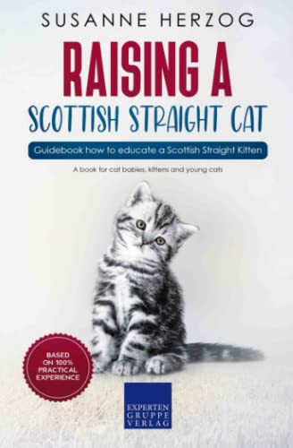 Raising a Scottish Straight Cat – Guidebook how to educate a Scottish Straight Kitten: A book for cat babies, kittens and young cats