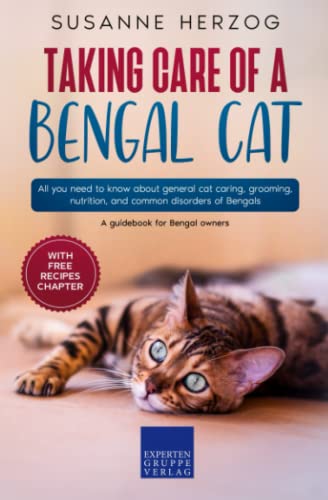 Taking care of a Bengal Cat: All you need to know about general cat caring, grooming, nutrition, and common disorders of Bengals