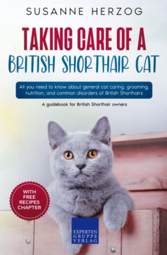 Taking care of a British Shorthair Cat: All you need to know about general cat caring, grooming, nutrition, and common disorders of British Shorthairs Taking care of a British Shorthair Cat: All you need to know about general cat caring, grooming, nutrition, and common disorders of British Shorthairs