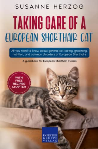 Taking care of a European Shorthair Cat: All you need to know about general cat caring, grooming, nutrition, and common disorders of European Shorthairs
