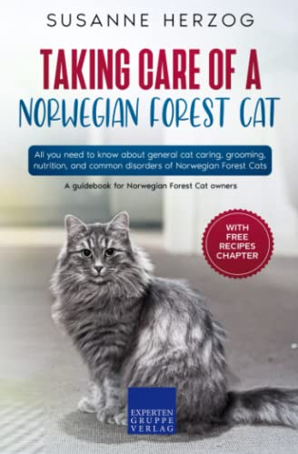 Taking care of a Norwegian Forest Cat: All you need to know about general cat caring, grooming, nutrition, and common disorders of Norwegian Forest Cats