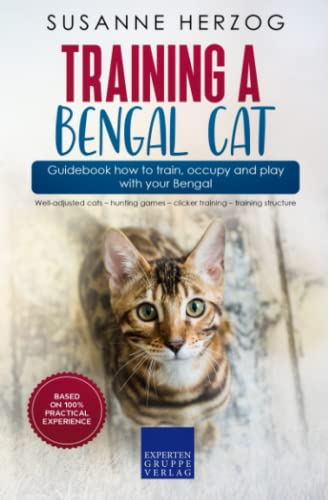 Training a Bengal Cat – Guidebook how to train, occupy and play with your Bengal: Well-adjusted cats – hunting games – clicker training – training structure von Expertengruppe Verlag