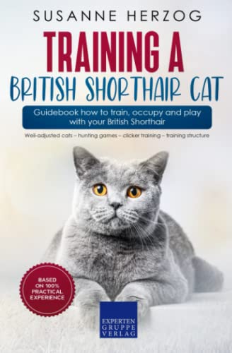 Training a British Shorthair Cat – Guidebook how to train, occupy and play with your British Shorthair: Well-adjusted cats – hunting games – clicker training – training structure von Expertengruppe Verlag