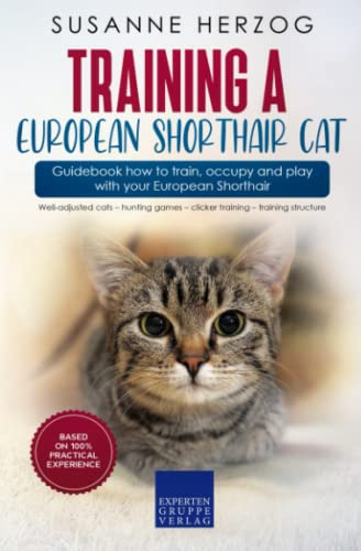 Training a European Shorthair Cat – Guidebook how to train, occupy and play with your European Shorthair: Well-adjusted cats – hunting games – clicker training – training structure Training a European Shorthair Cat – Guidebook how to train, occupy and play with your European Shorthair: Well-adjusted cats – hunting games – clicker training – training structure