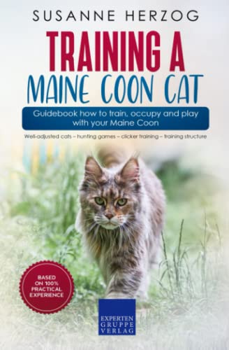 Training a Maine Coon Cat – Guidebook how to train, occupy and play with your Maine Coon: Well-adjusted cats – hunting games – clicker training – training structure