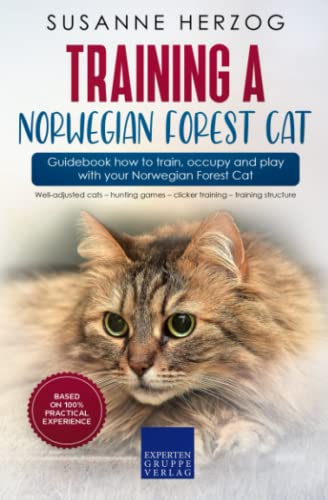 Training a Norwegian Forest Cat – Guidebook how to train, occupy and play with your Norwegian Forest Cat: Well-adjusted cats – hunting games – clicker training – training structure von Expertengruppe Verlag