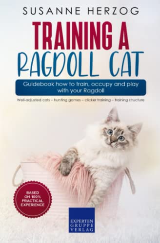 Training a Ragdoll Cat – Guidebook how to train, occupy and play with your Ragdoll: Well-adjusted cats – hunting games – clicker training – training structure von Expertengruppe Verlag