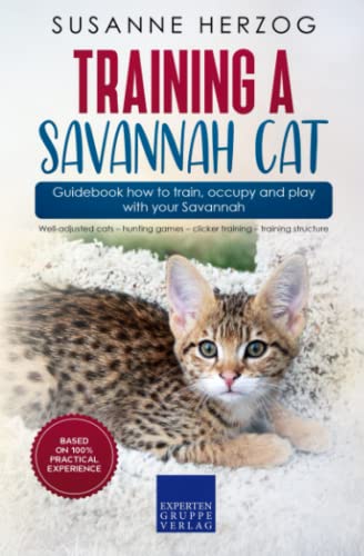 Training a Savannah Cat – Guidebook how to train, occupy and play with your Savannah: Well-adjusted cats – hunting games – clicker training – training structure von Expertengruppe Verlag