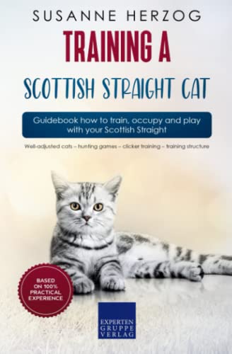 Training a Scottish Straight Cat – Guidebook how to train, occupy and play with your Scottish Straight: Well-adjusted cats – hunting games – clicker training – training structure