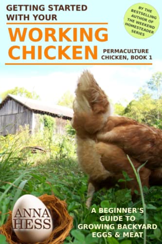 Getting Started With Your Working Chicken: A Beginner's Guide to Growing Backyard Eggs & Meat (Permaculture Chicken, Band 1) von Independently published