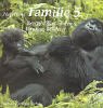 Familie 5: Berggorillas in den Virunga-Wäldern