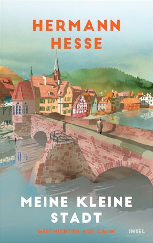 Meine kleine Stadt: Geschichten aus Calw