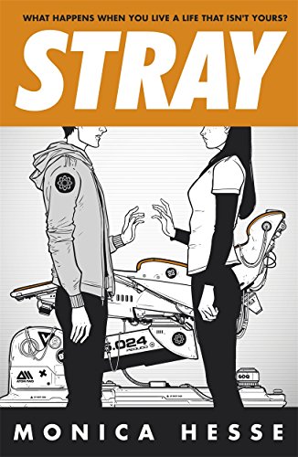 Stray (A Stray Book)