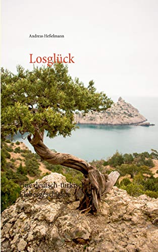 Losglück: eine deutsch-türkische Liebesgeschichte