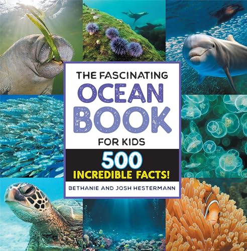The Fascinating Ocean Book for Kids: 500 Incredible Facts! (Fascinating Facts) von Callisto Kids