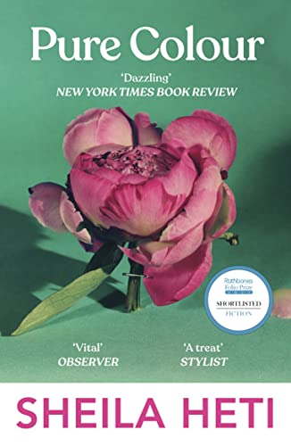 Pure Colour: the new novel from the author of Motherhood and How Should A Person Be? von Vintage