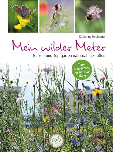 Mein wilder Meter: Balkon und Topfgarten naturnah gestalten - Tiere beobachten aus nächster Nähe