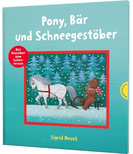 Pony, Bär und Schneegestöber: Mit Bildern lesen lernen