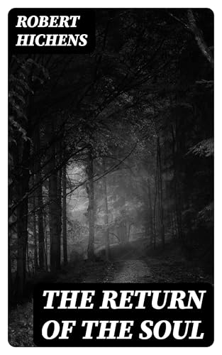 The Return Of The Soul The Return Of The Soul von Anson Street Press